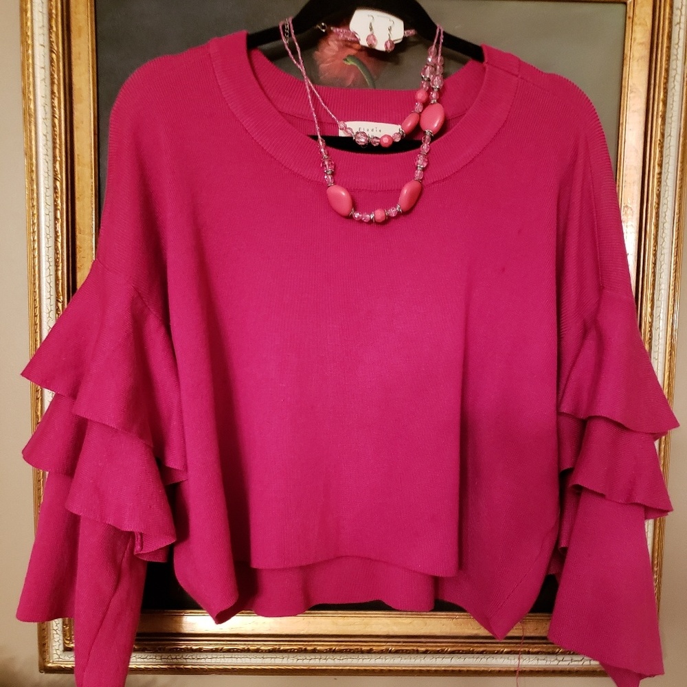 NWT ELODIE Tight knit ruffle sleeve sweater thick knit. - Picture 5 of 10